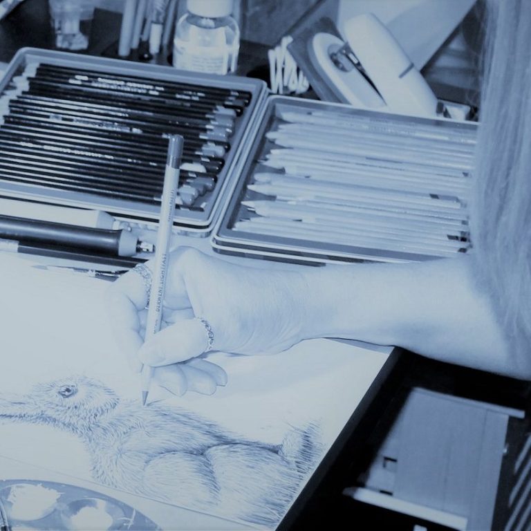 AmandaNX at work Image of the artist drawing a bunny rabbit using coloured pencils.